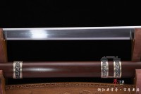 铜装卧龙剑-八面款